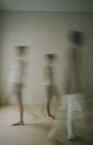 ac294d9bc23296fe2c64337ca3ddf426